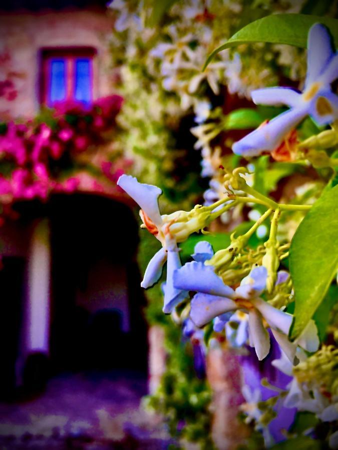 Podere Di Belforte Bagno a Ripoli Dış mekan fotoğraf