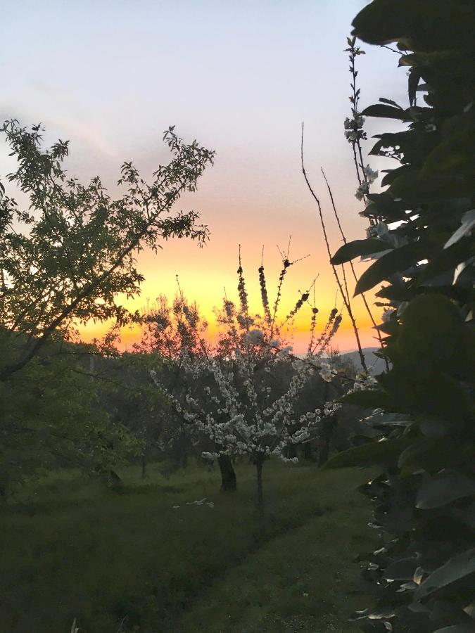 Podere Di Belforte Bagno a Ripoli Dış mekan fotoğraf