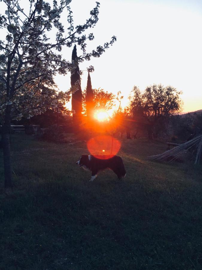 Podere Di Belforte Bagno a Ripoli Dış mekan fotoğraf