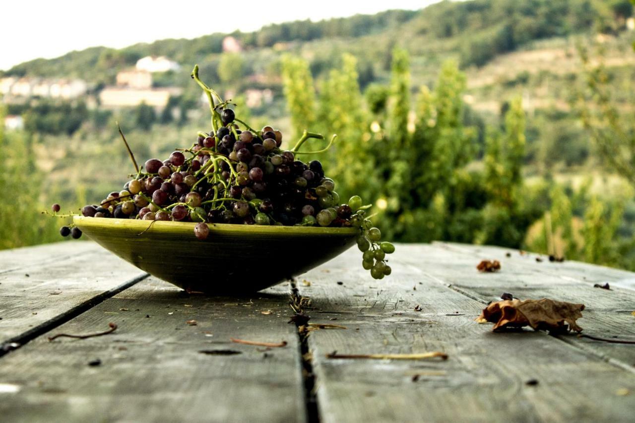 Podere Di Belforte Bagno a Ripoli Dış mekan fotoğraf
