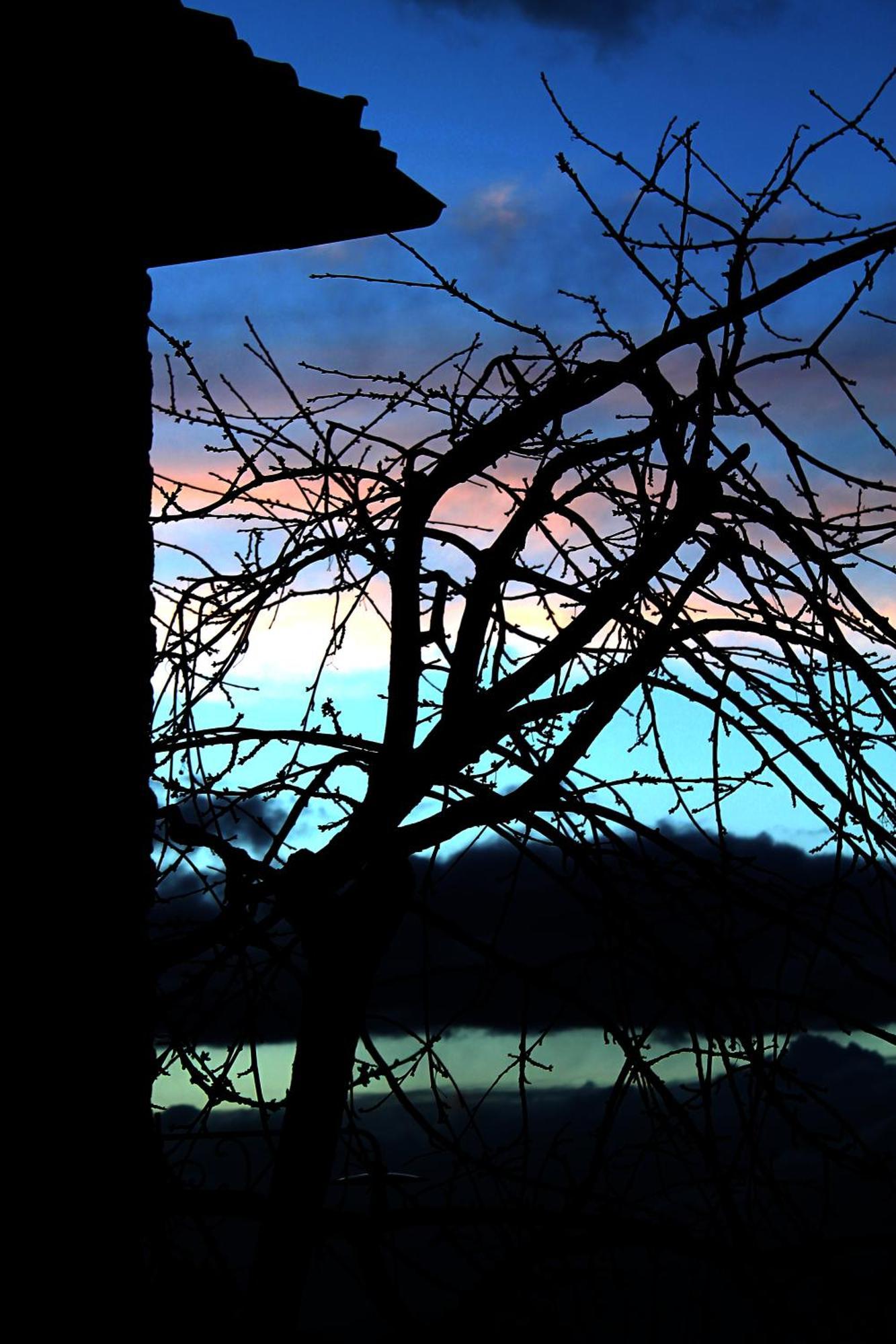 Podere Di Belforte Bagno a Ripoli Dış mekan fotoğraf
